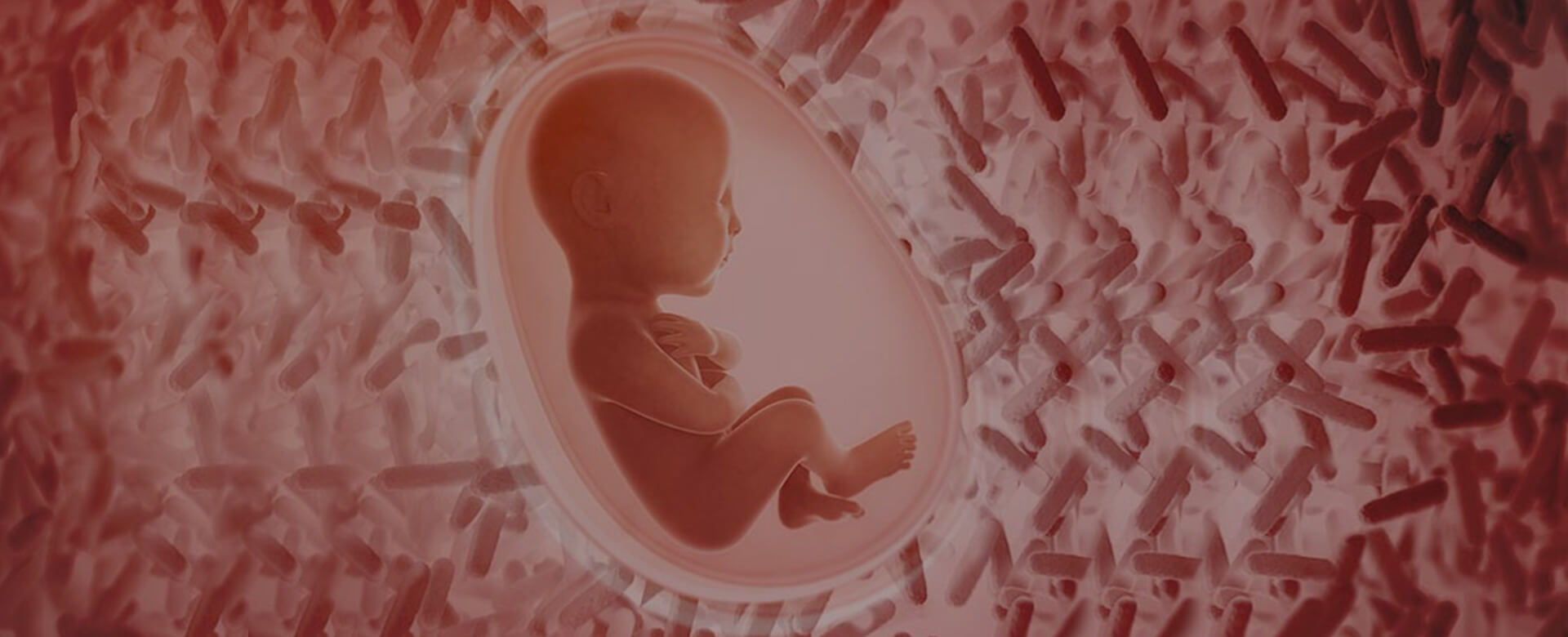 Perchè è importante monitorare il microbiota intestinale in gravidanza