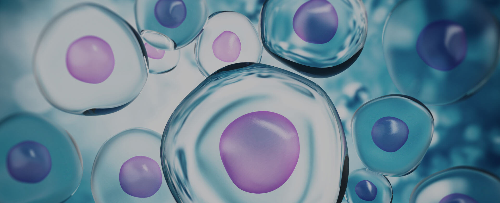 COVID-19, cellule staminali fra i trattamenti più promettenti