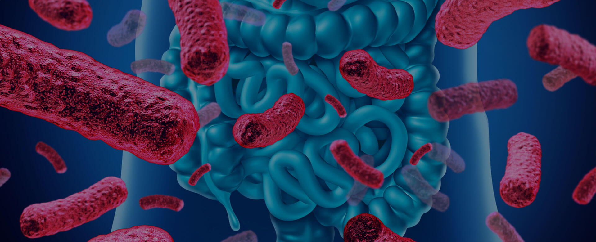 How gut bacteria kill colon cancer cells