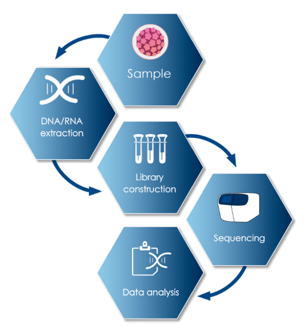 HeliDx Colon Cancer Assay