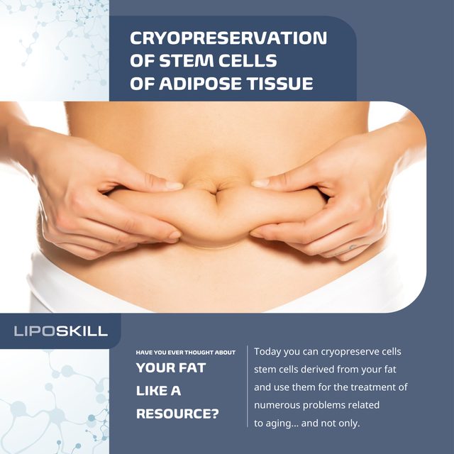 Cover: LIPOSKILL SAVE